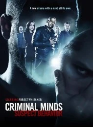 Regarder Esprits criminels : Unité parallèle - Saison 1 en streaming complet