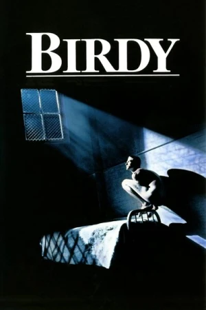  Birdy affiche 