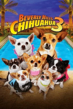  Le Chihuahua de Beverly Hills 3 : Viva la Fiesta ! affiche 