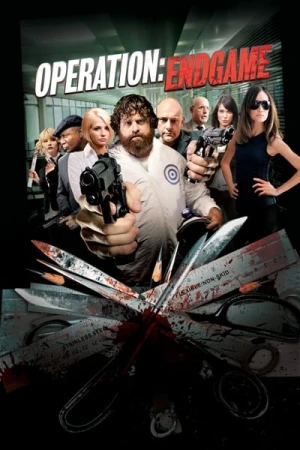  Operation : Endgame affiche 